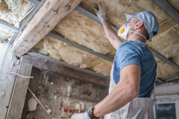 Best Fiberglass Insulation  in Lewiston, ID