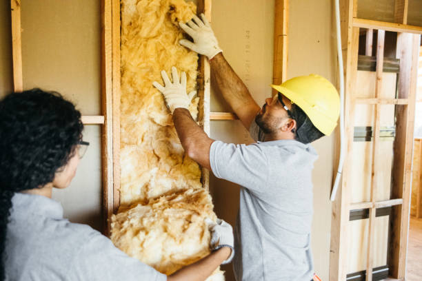 Best Best Insulation Companies  in Lewiston, ID