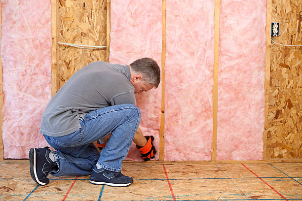 Best Insulation Contractors for Homes  in Lewiston, ID