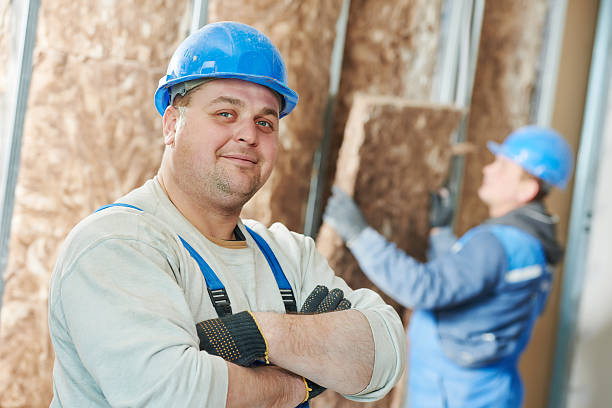 Best Insulation Repair Services  in Lewiston, ID