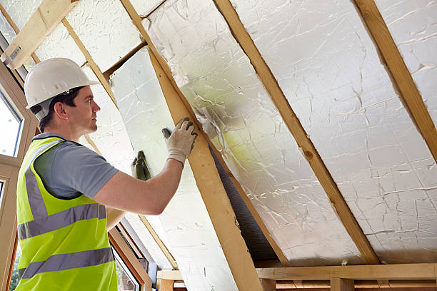 Best Energy-efficient Insulation  in Lewiston, ID