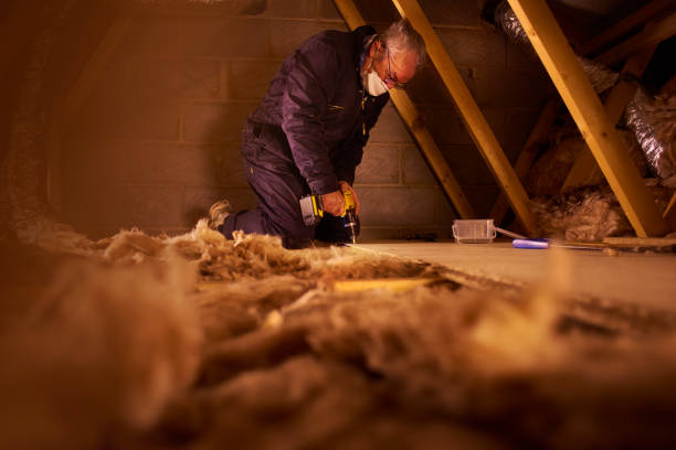 Best Spray Foam Insulation  in Lewiston, ID