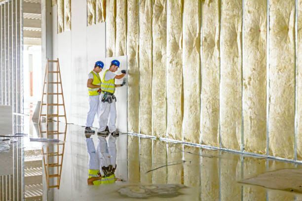 Best Insulation Contractor Near Me  in Lewiston, ID